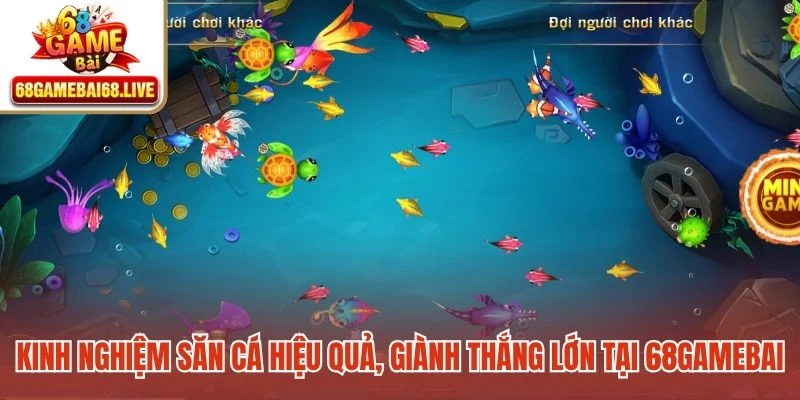 Kinh nghiệm săn cá hiệu quả, giành thắng lớn tại 68gamebai