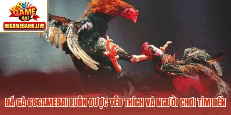 Đá gà 68gamebai luôn được yêu thích và được đông đảo người chơi tìm đến