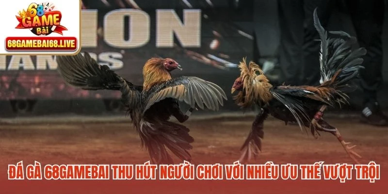 Đá gà 68gamebai thu hút người chơi với nhiều ưu thế vượt trội